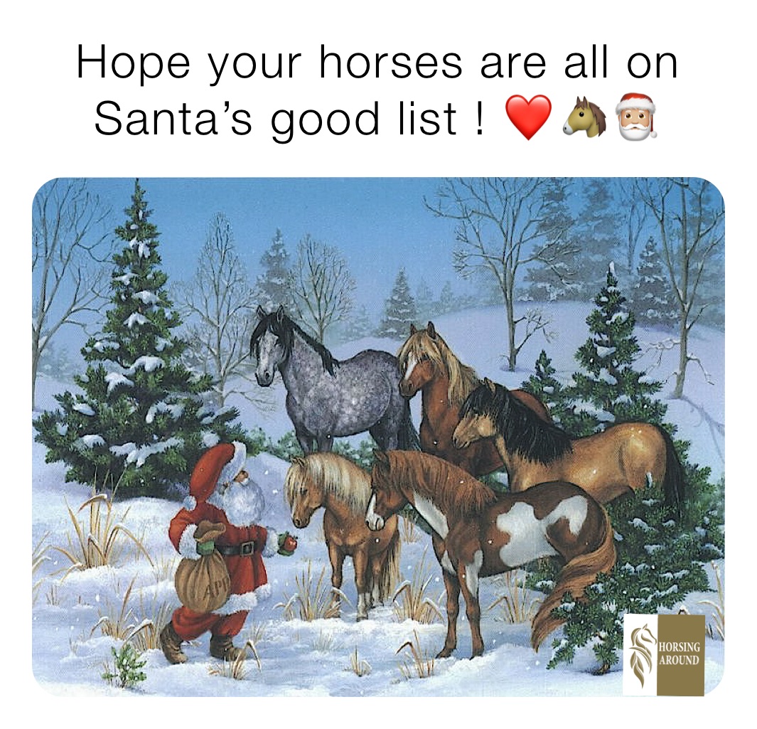 Hope your horses are all on Santa’s good list ! ❤️🐴🎅🏼
