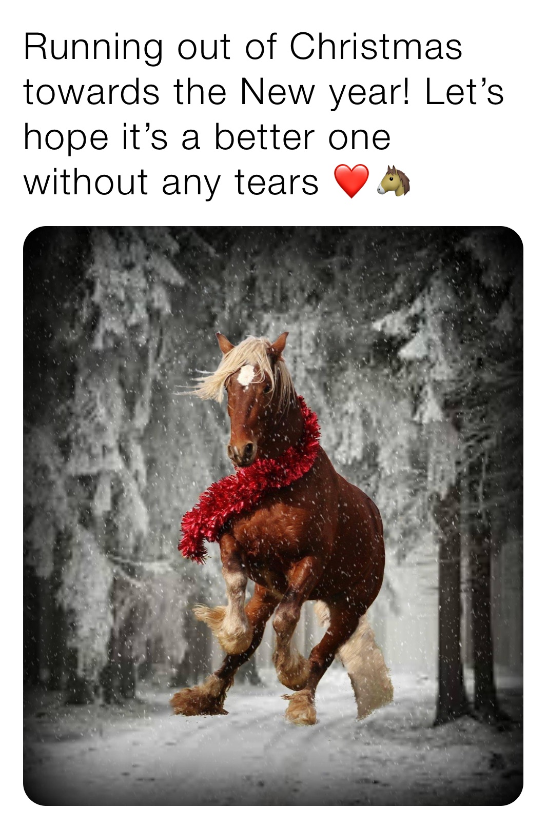 Running out of Christmas towards the New year! Let’s hope it’s a better one without any tears ❤️🐴