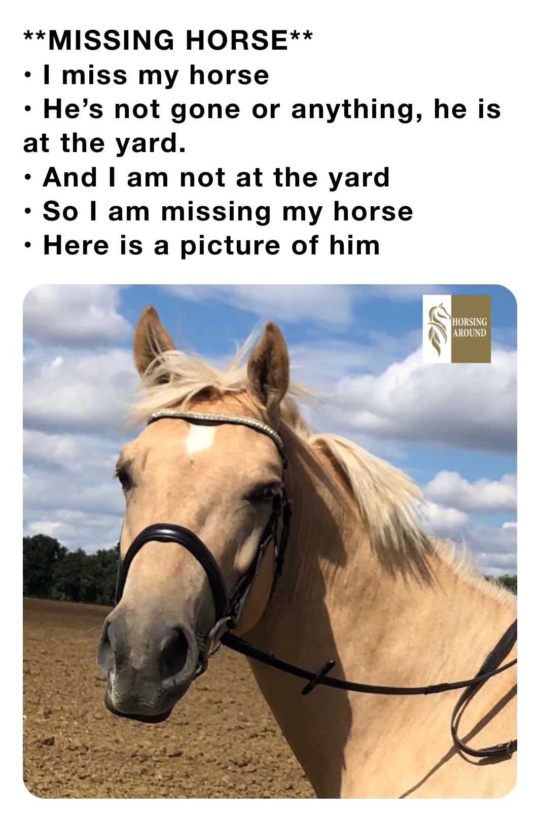 **MISSING HORSE**
• I miss my horse
• He’s not gone or anything, he is      at the yard.
• And I am not at the yard
• So I am missing my horse
• Here is a picture of him