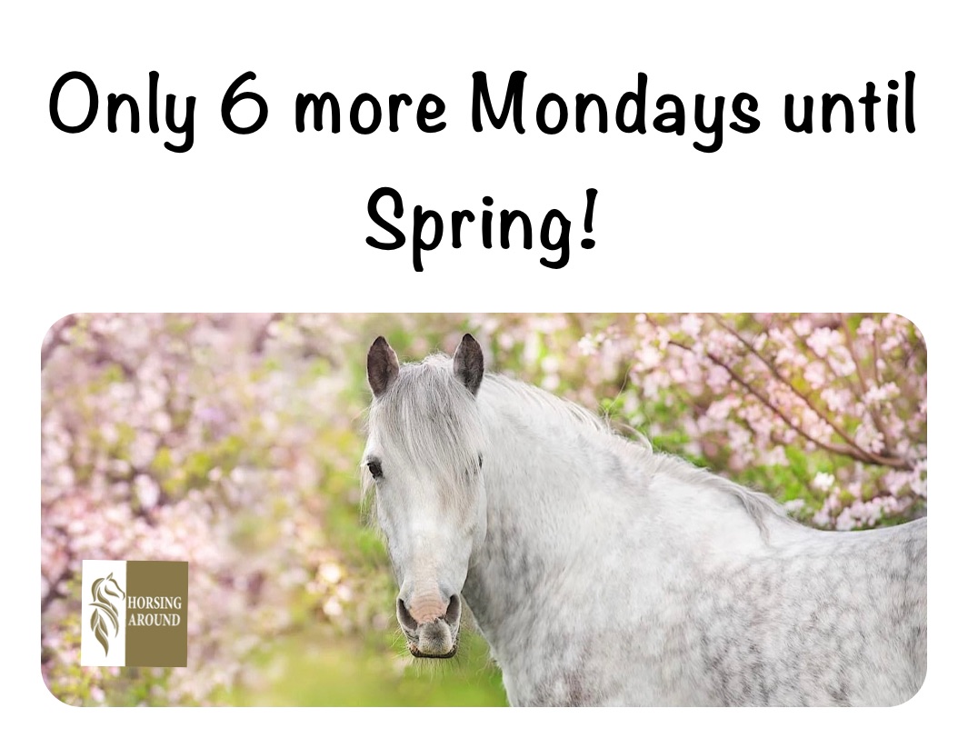 Only 6 more Mondays until Spring!