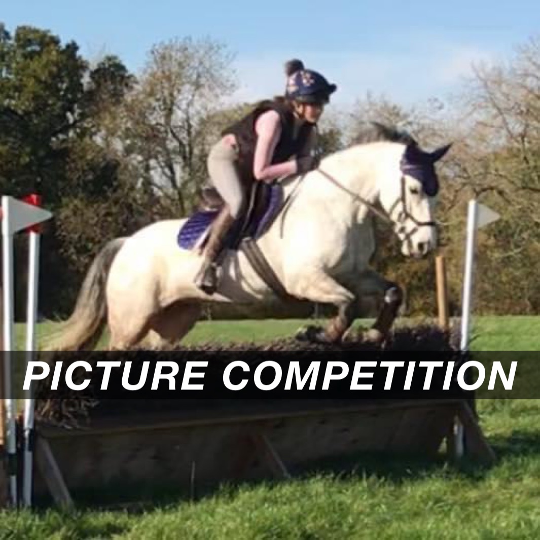 PICTURE COMPETITION  PICTURE COMPETITION 