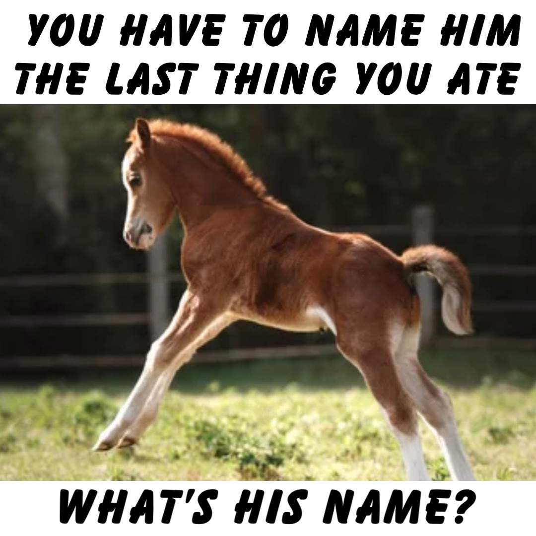 You have to name him the last thing you ate What’s his name?