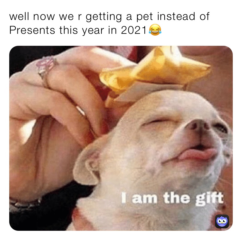 well now we r getting a pet instead of Presents this year in 2021😂
