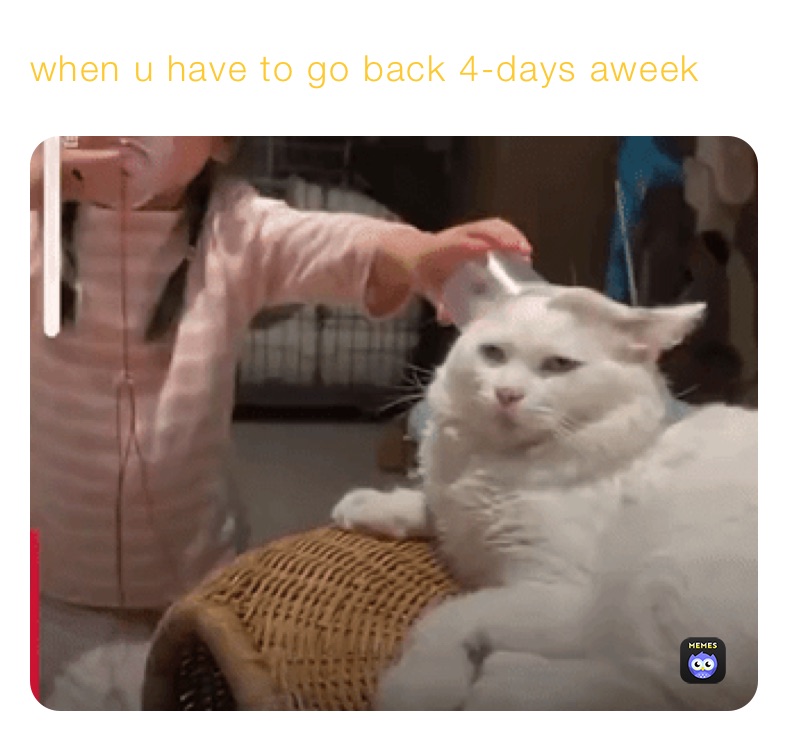 when u have to go back 4-days aweek 