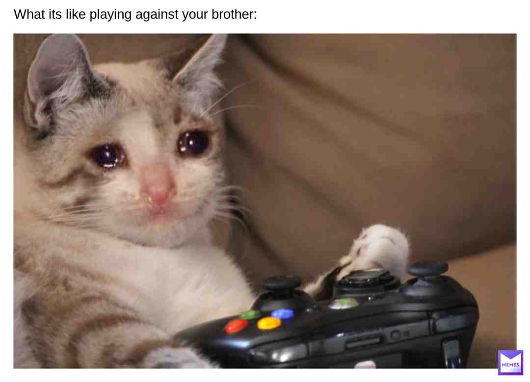 sorry i was gone for like-- A YEAR-