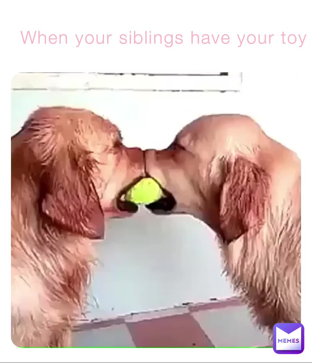 Meme shared by @jessica9