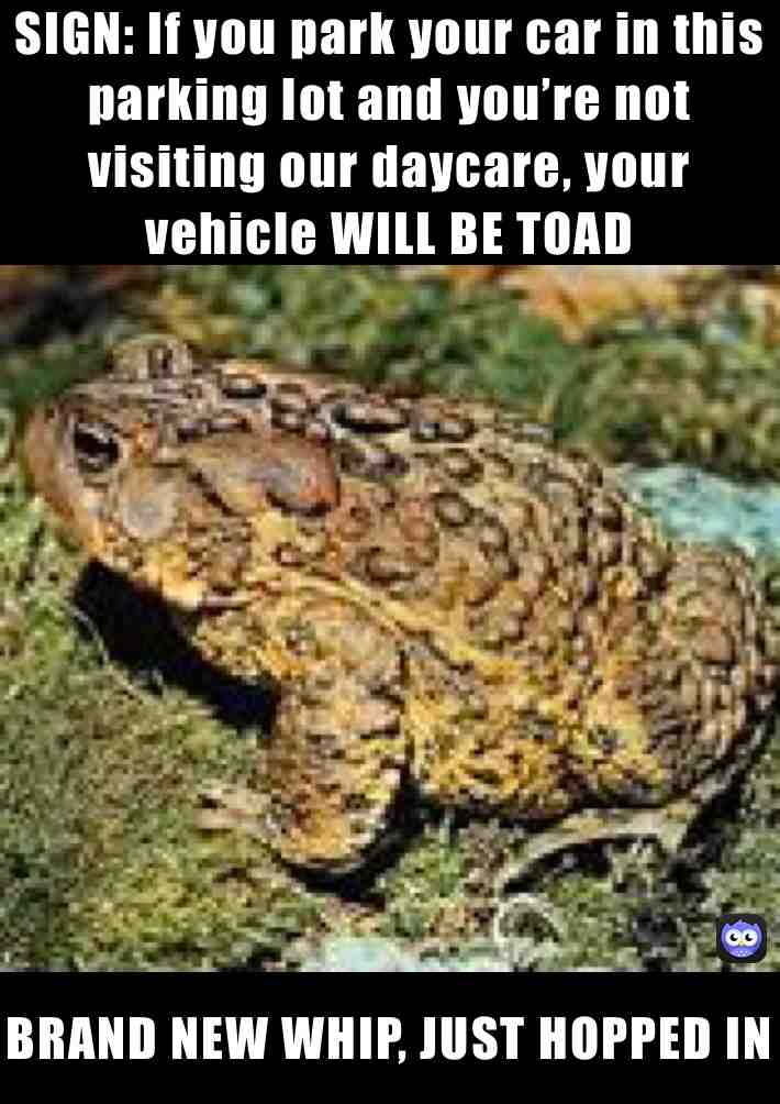 Any body wanna ride #ride #funny #lolmeme