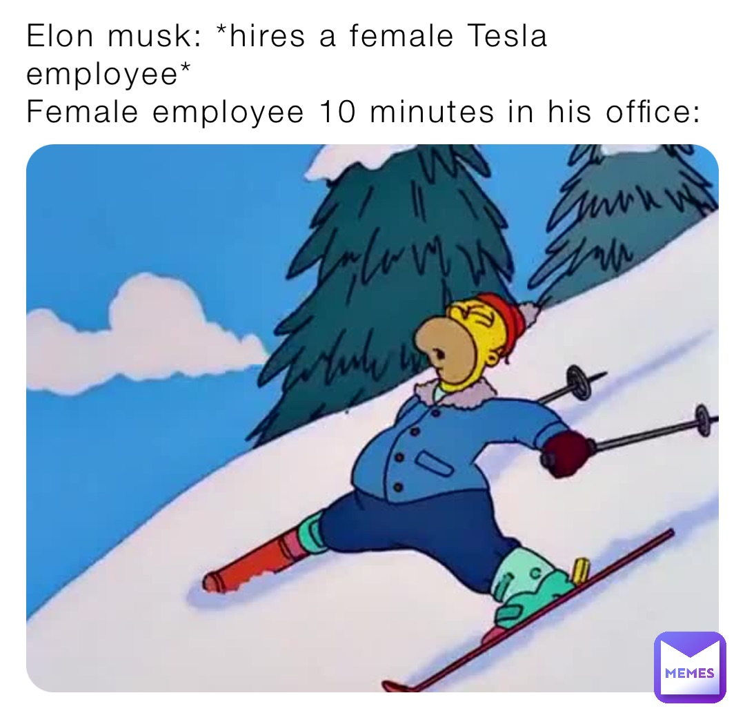 Elon musk: *hires a female Tesla employee*
Female employee 10 minutes in his office: