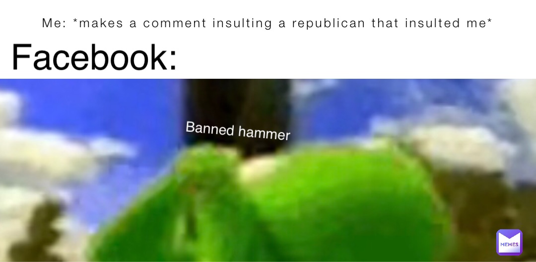 Me: *makes a comment insulting a republican that insulted me* Facebook: Banned hammer