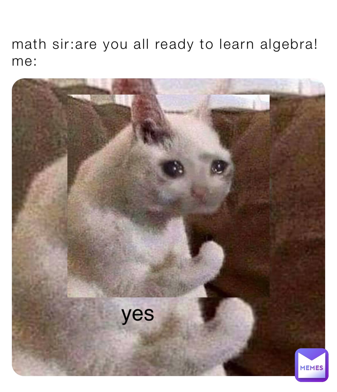 math sir:are you all ready to learn algebra! me: yes | @MemerBoy321 | Memes