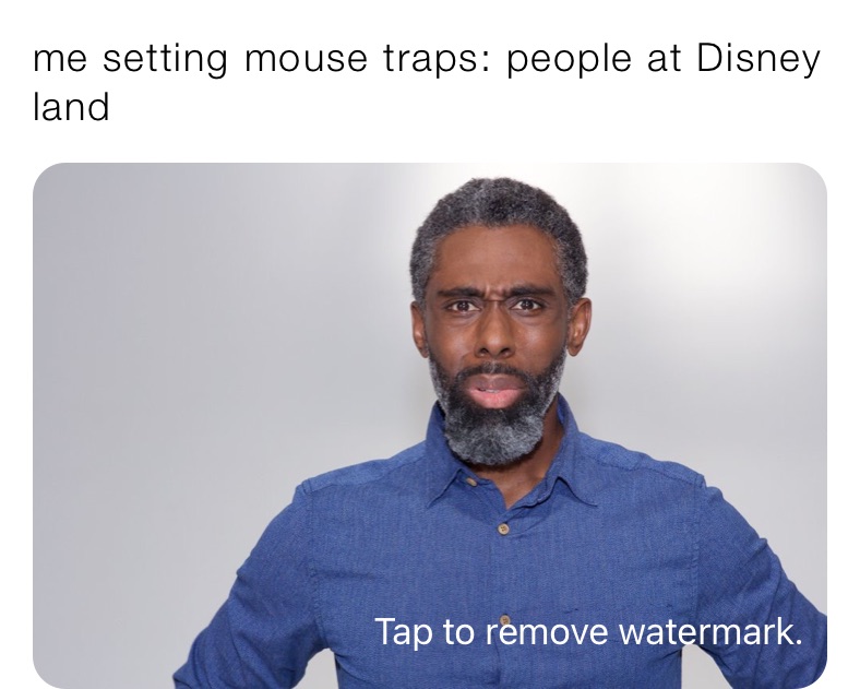 me setting mouse traps: people at Disney land