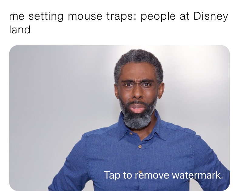 Me setting mouse traps people at disney land sutton kidd memes