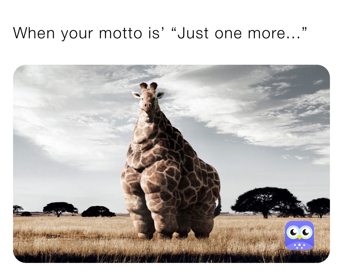 When your motto is’ “Just one more...”