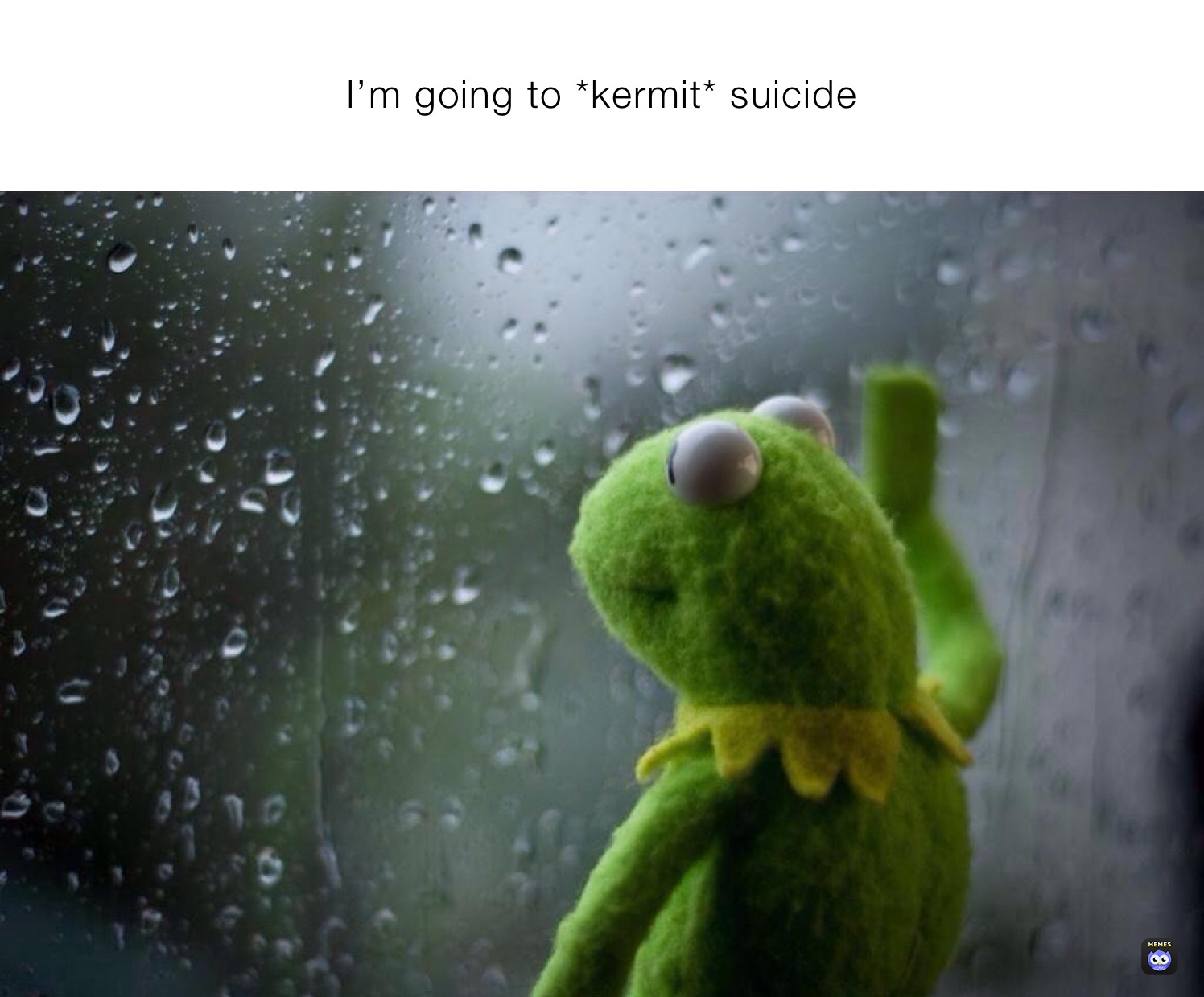 I’m going to *kermit* suicide