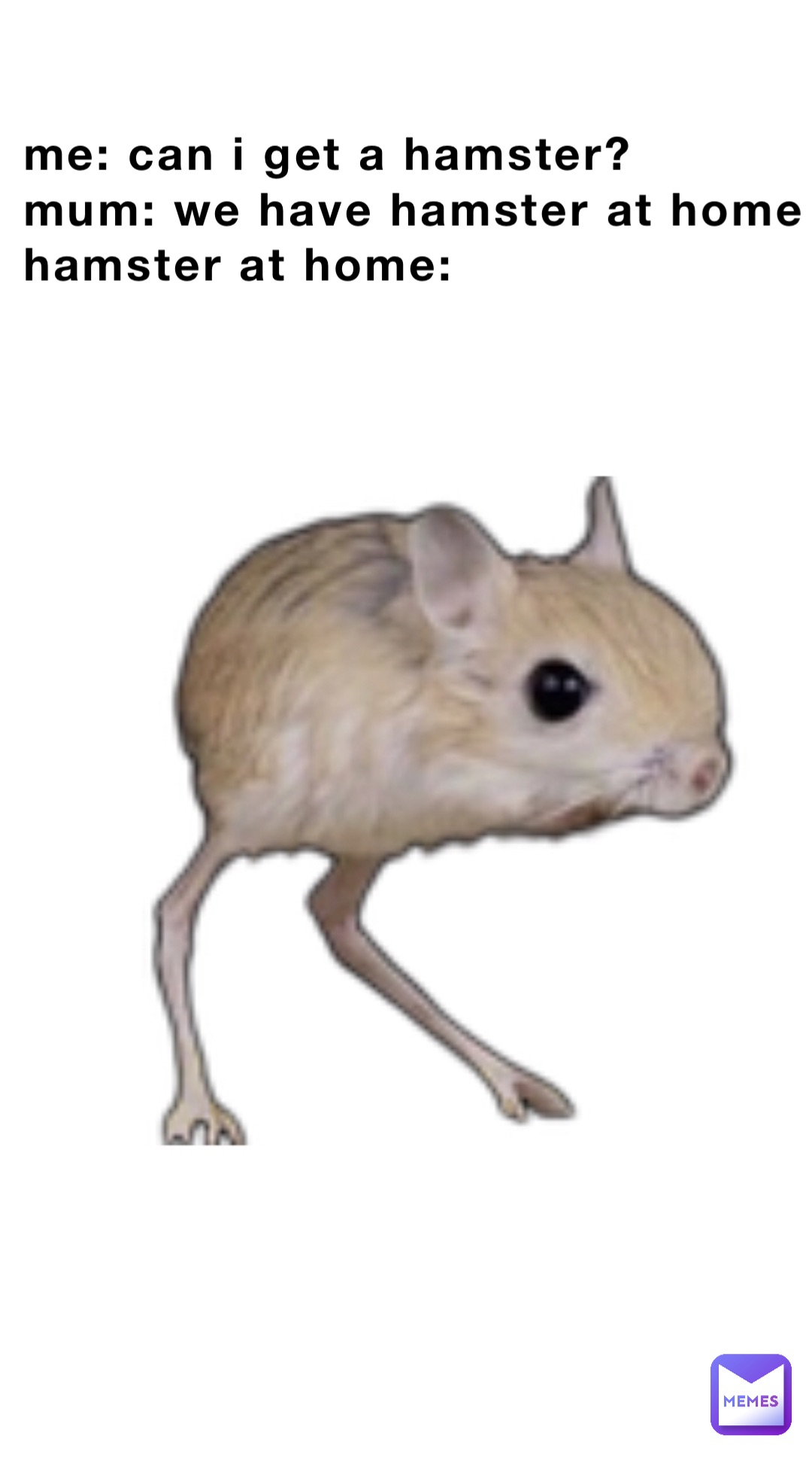 Me: Can I get a hamster?
Mum: We have hamster at home
Hamster at home: