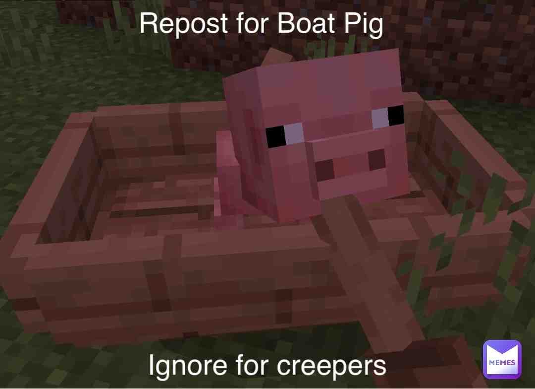 #boatpig