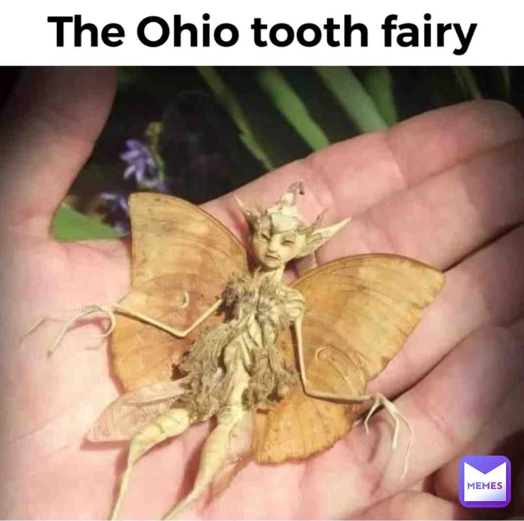 Meme shared by @The_Crusader_93