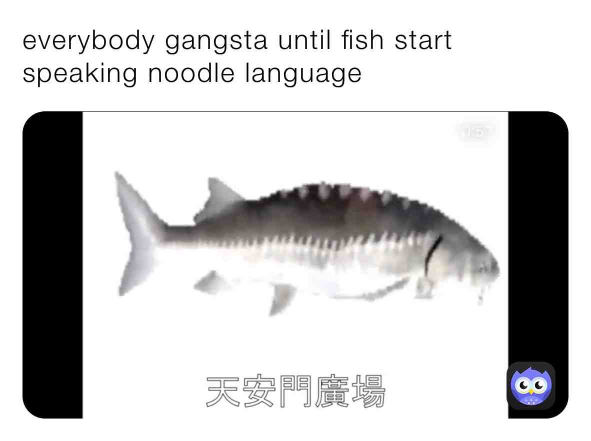Meme shared by @you_looked