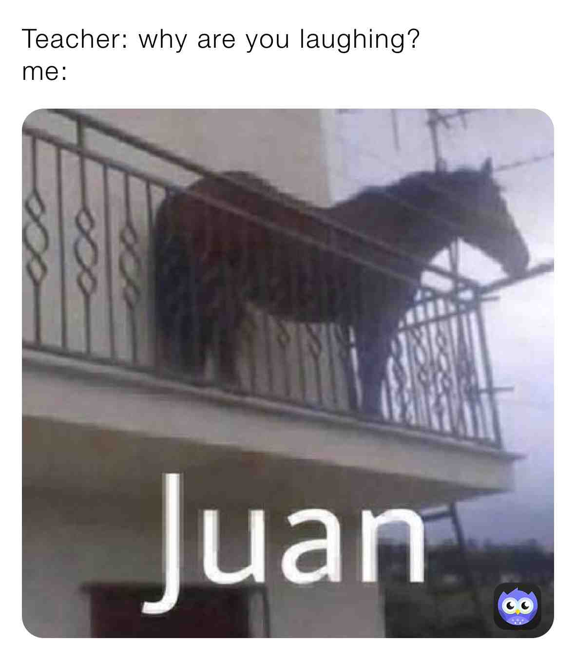 Meme shared by @you_looked