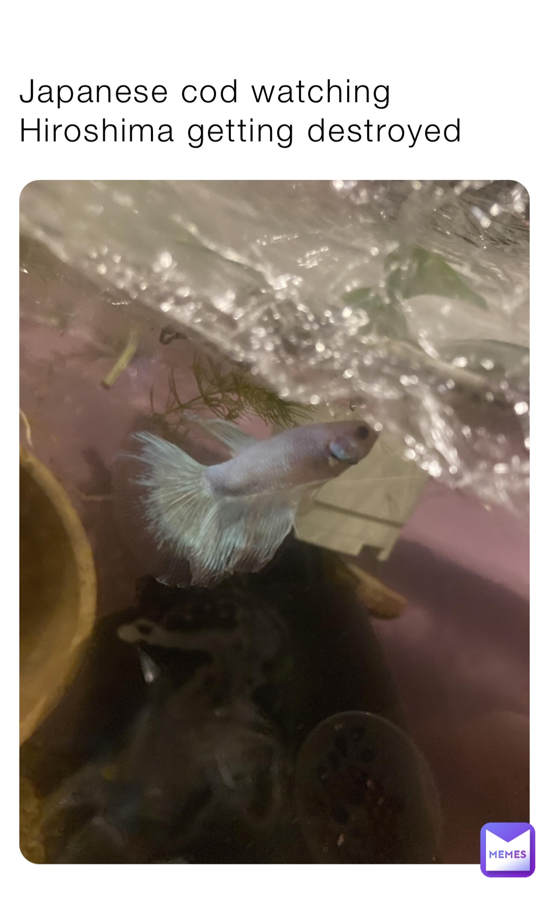 Japanese cod watching Hiroshima getting destroyed