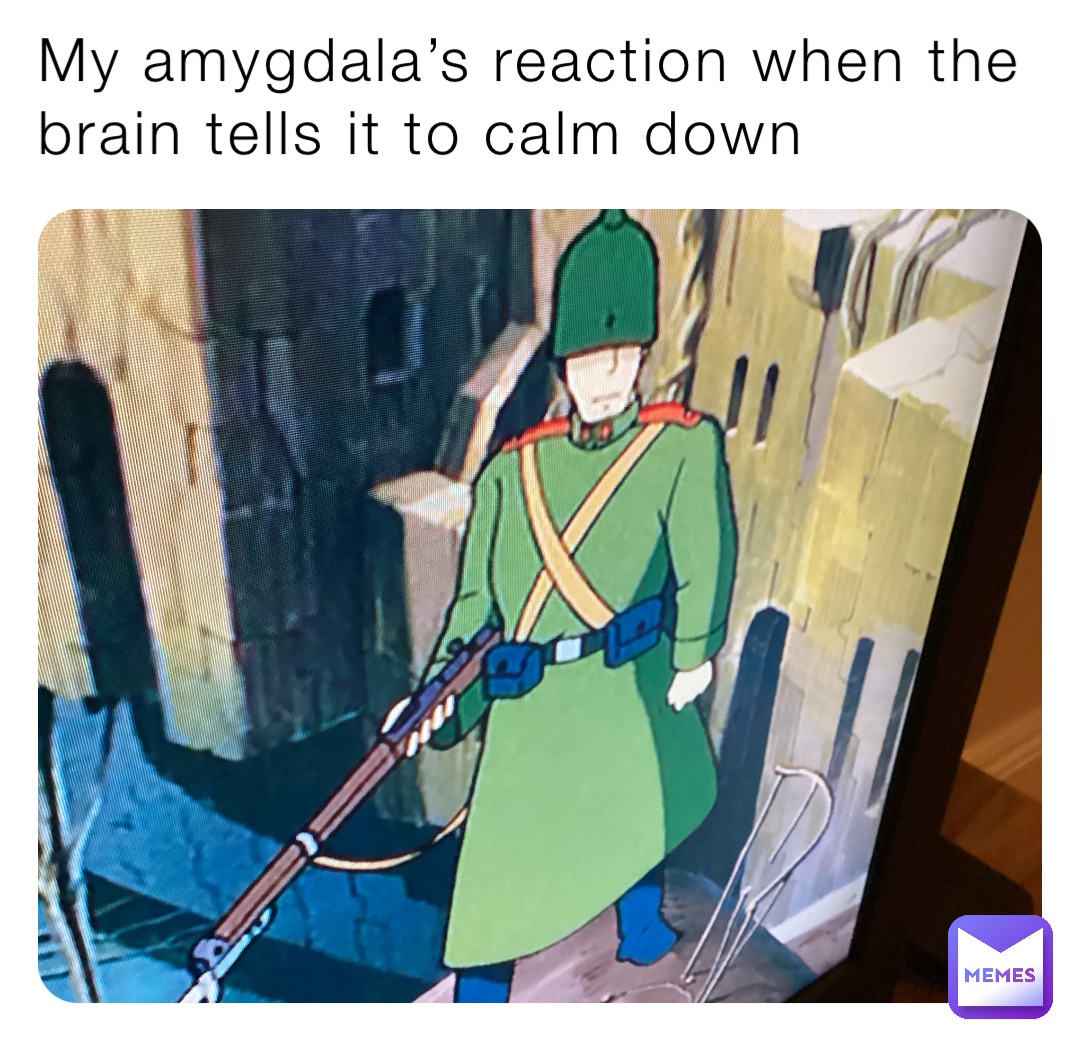 My amygdala’s reaction when the brain tells it to calm down