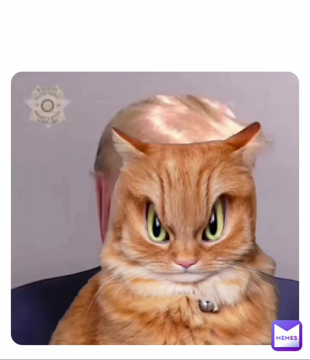 😾😼