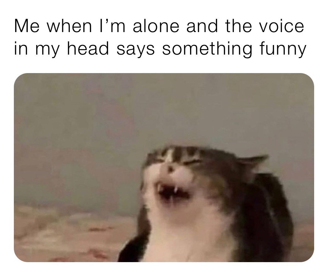 Me when I’m alone and the voice in my head says something funny