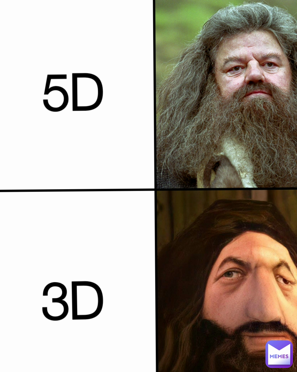 3D 5D