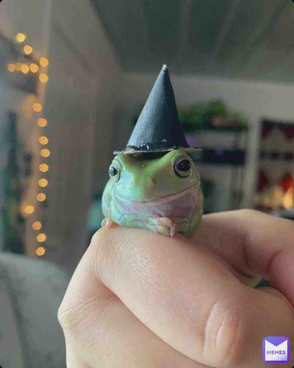 Fancy frog