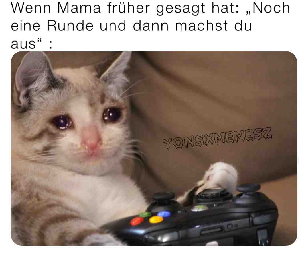 Und dann immer so: „bitte noch 10 Minuten🥺“😂😂 #german #deutsch #gaming #memesdaily