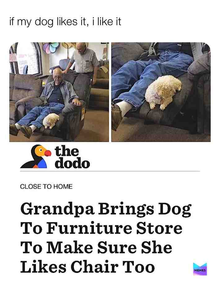 i love my dog
****
follow @clean.cousin.memes and my backup @clean.potassium.memes for more memes! \u2764\ufe0f
*
*
*
hashtag thingys
#oddlymemes #dumbmemes #interestingmemes #likablememes #beameme #fulltimememer #cornymeme #surrealmeme #wowmemes #originalmemes #creepymemes #memefarm #mememaker #memebased #meming #memelord #latinmemes #schoolmemes #relevantmeme #bestjokes #memeboss #dadjokes #famousmemes #memeintelligence #memeuniversity #gamingmemes #rapmemes #coldmemes #memeit #prettyfunny