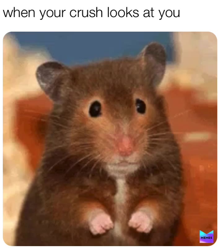 i actually don\u2019t have a crush on anyone
^^^
Follow @clean.cousin.memes aNd my backup @clean.potassium.memes for more memes!!!! \ud83d\ude02\u2764\ufe0f\ud83d\udc36
^
^
^
^
^
hash tags \ud83c\udff7
  #cleanjokes   #cleanmemes   #cleanmemesdaily   #cleanfunnymemes   #cleanhumor   #cleanlols   #funnymemes   #memestagram   #memevideos   #clickbaitlol   #tomandjerrymemes   #thanksmemes   #yeetmemes   #fbimemes   #carlmemes   #neatness   #article13   #discord   #dankestofmemes   #awesomememes   #nicememes   #gotmemes   #bandmemes   #yeetmemes   #cousins