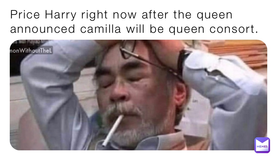 Price Harry right now after the queen announced camilla will be queen consort.