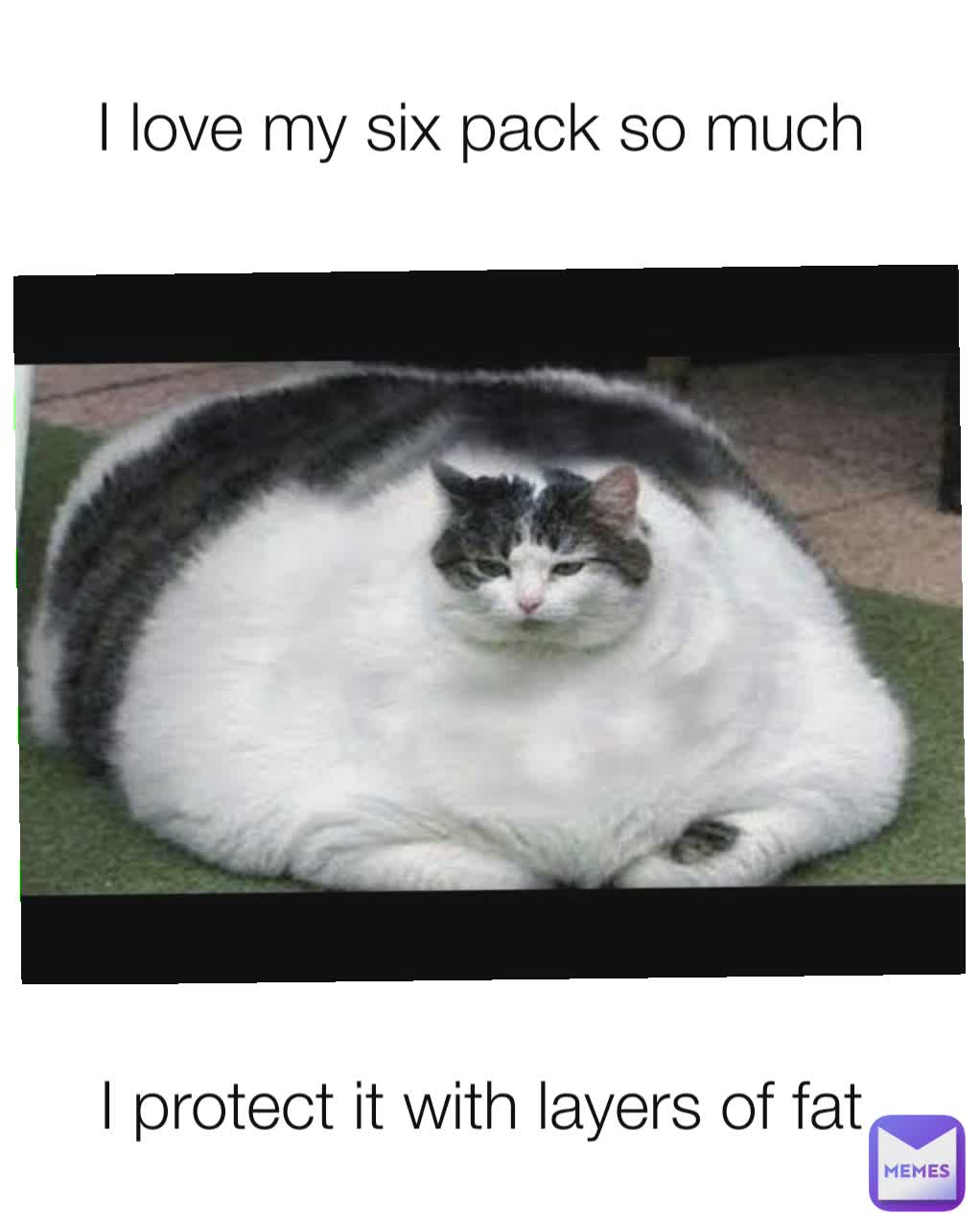 I love my six pack so much  I protect it with layers of fat 