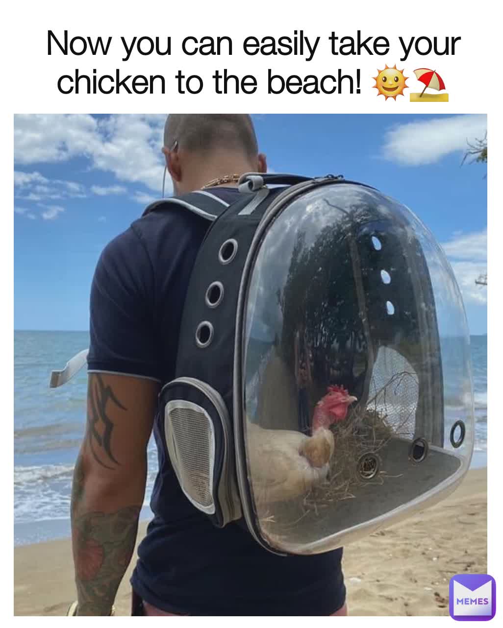 Now you can easily take your chicken to the beach! 🌞⛱️