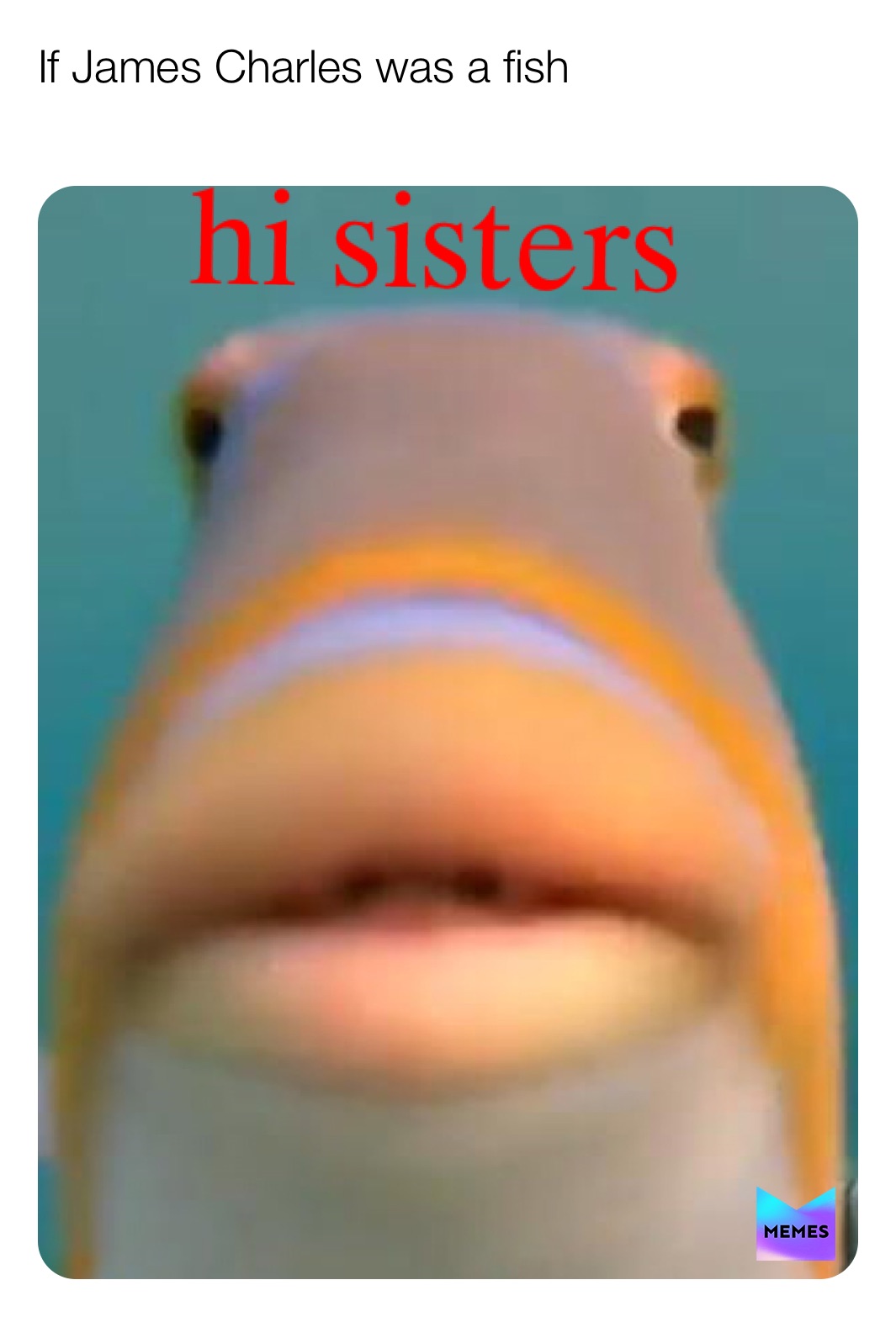 Meme by eijiro_kirishima_4