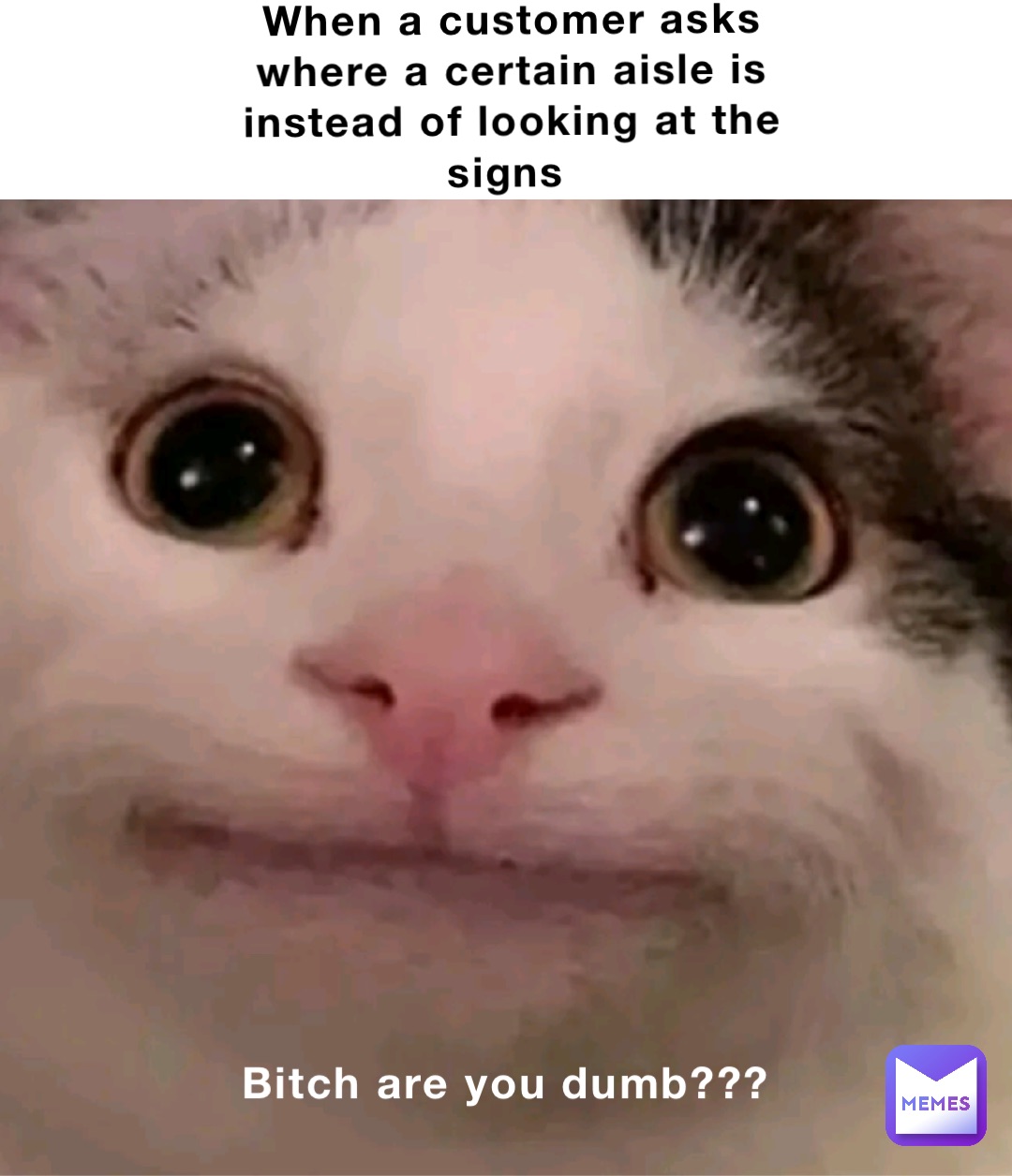 When a customer asks where a certain aisle is instead of looking at the signs Bitch are you dumb???