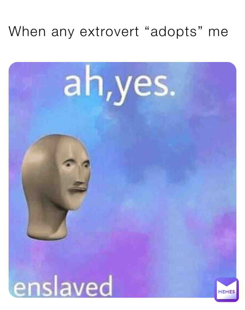 Meme shared by @CocoCurliQ