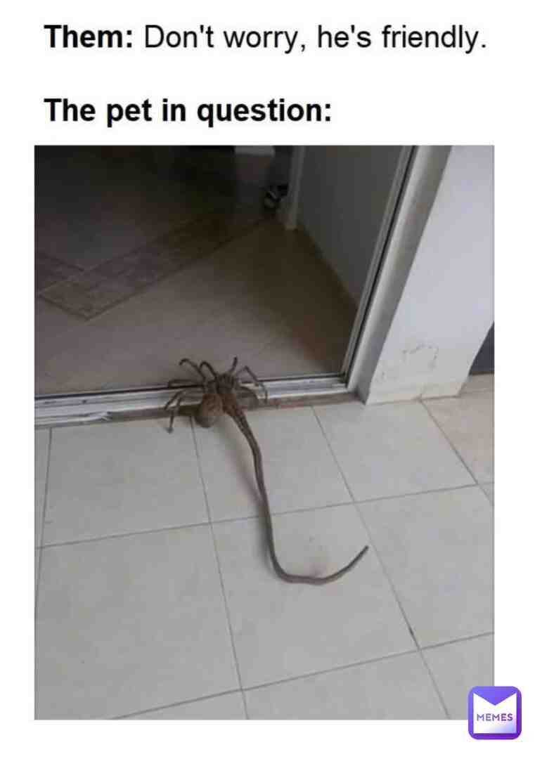#randomcontent #stolenmemes