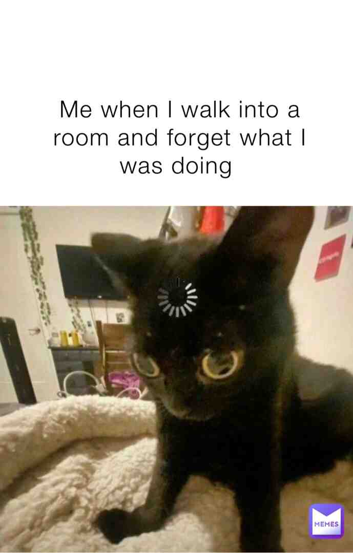 Meme shared by @CocoCurliQ