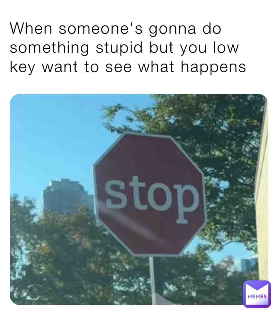 Meme shared by @CocoCurliQ