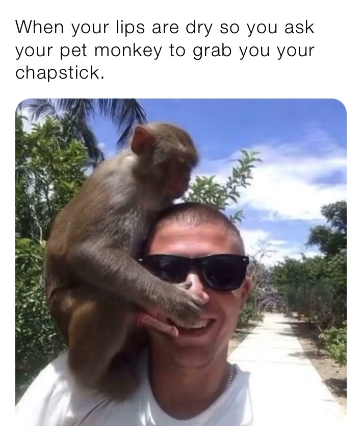 When your lips are dry so you ask your pet monkey to grab you your chapstick. 