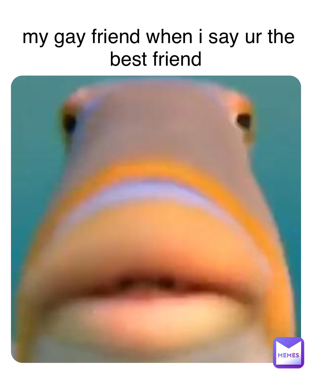 Double tap to edit my gay friend when i say ur the best friend |  @hhehehehhe | Memes