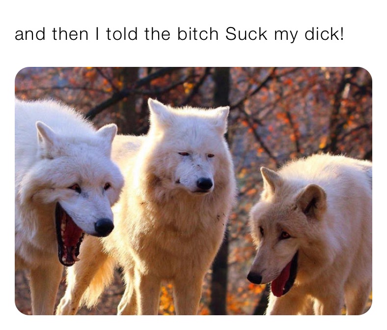 and then I told the bitch Suck my dick!