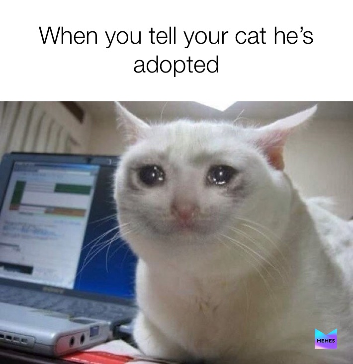 Meme by calderonalex0905