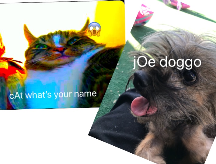 Meme by calderonalex0905