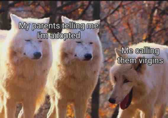 Meme shared by @Saez
