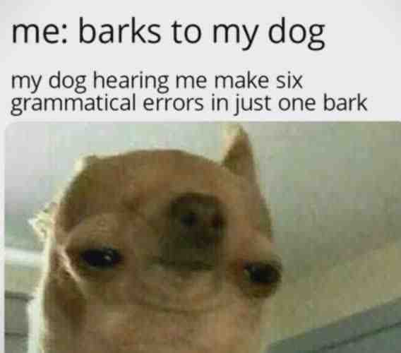 Meme shared by @Saez