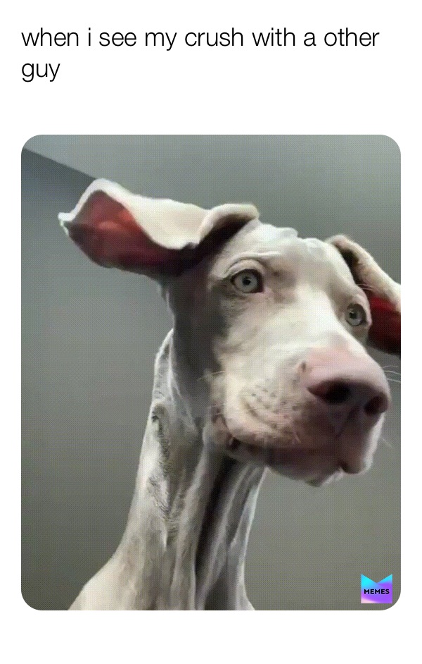 Meme by misu_official