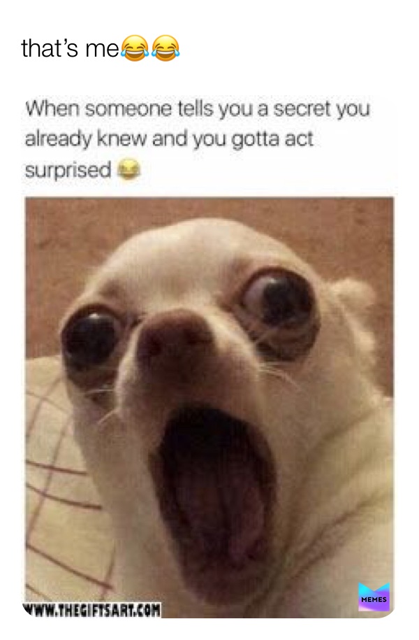 Meme by misu_official